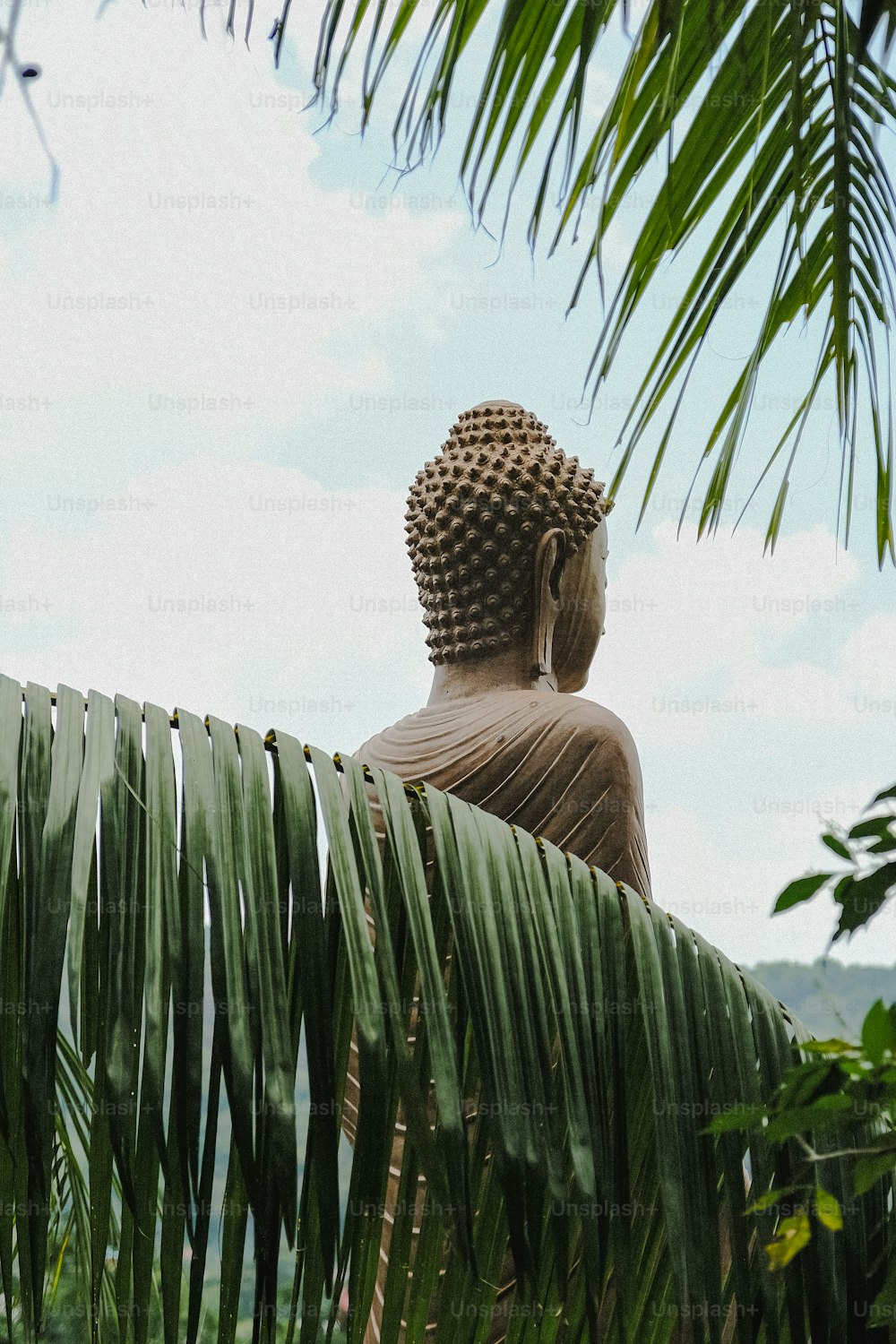 a buddha statue sitting on top of a lush green field