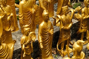 a group of golden buddha statues sitting next to each other