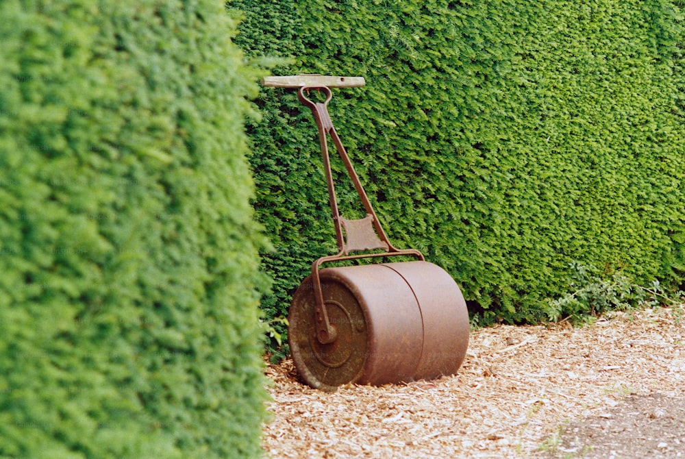 a brown wheel attached to a green hedge