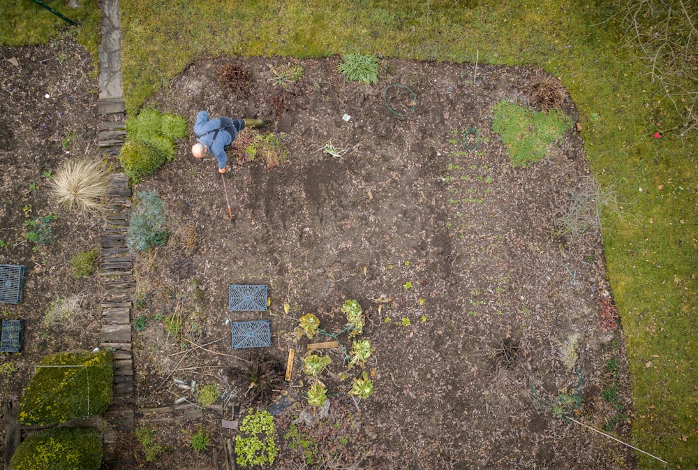 an aerial view of a garden with a man working in it