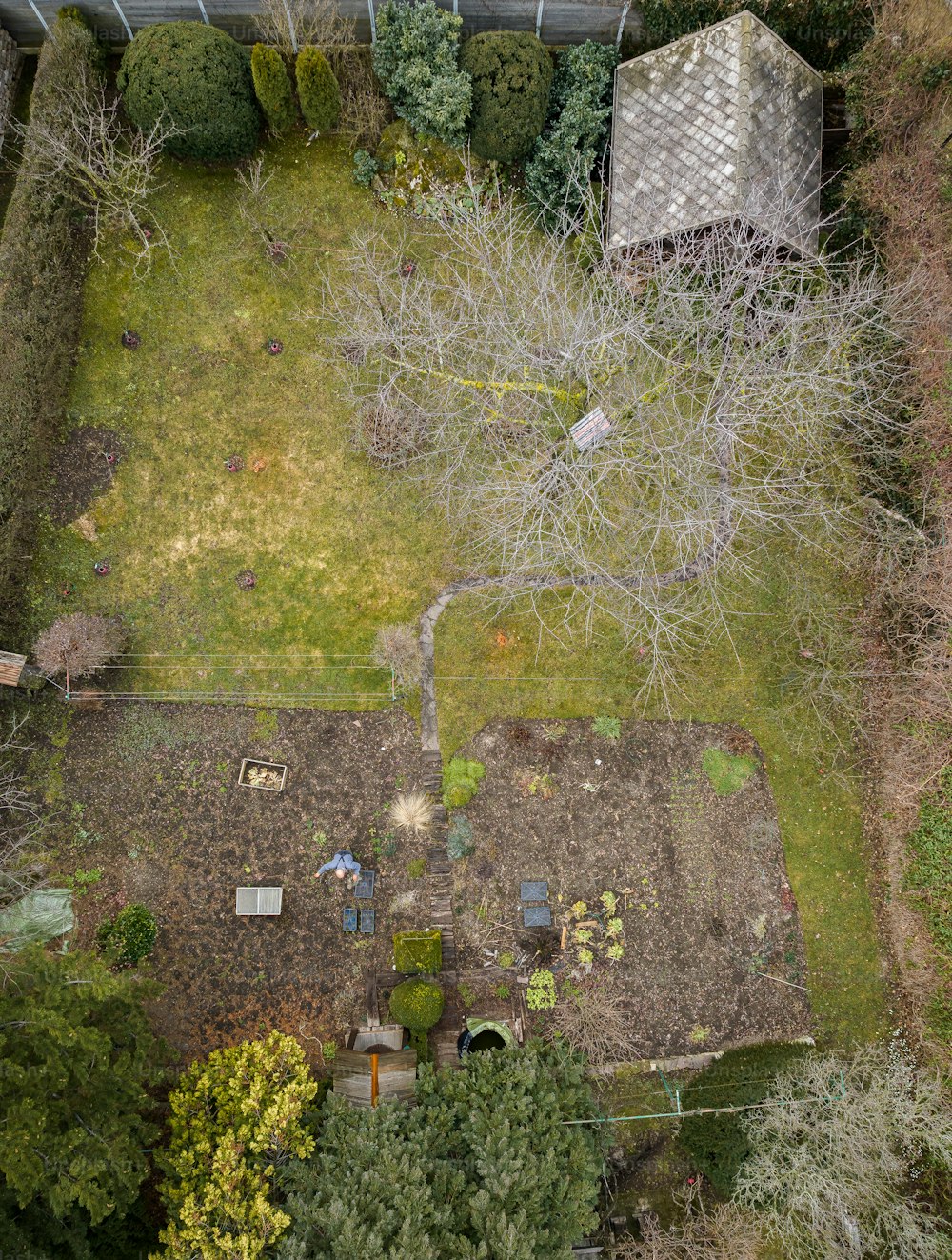uma vista aérea de um quintal com um galpão e árvores