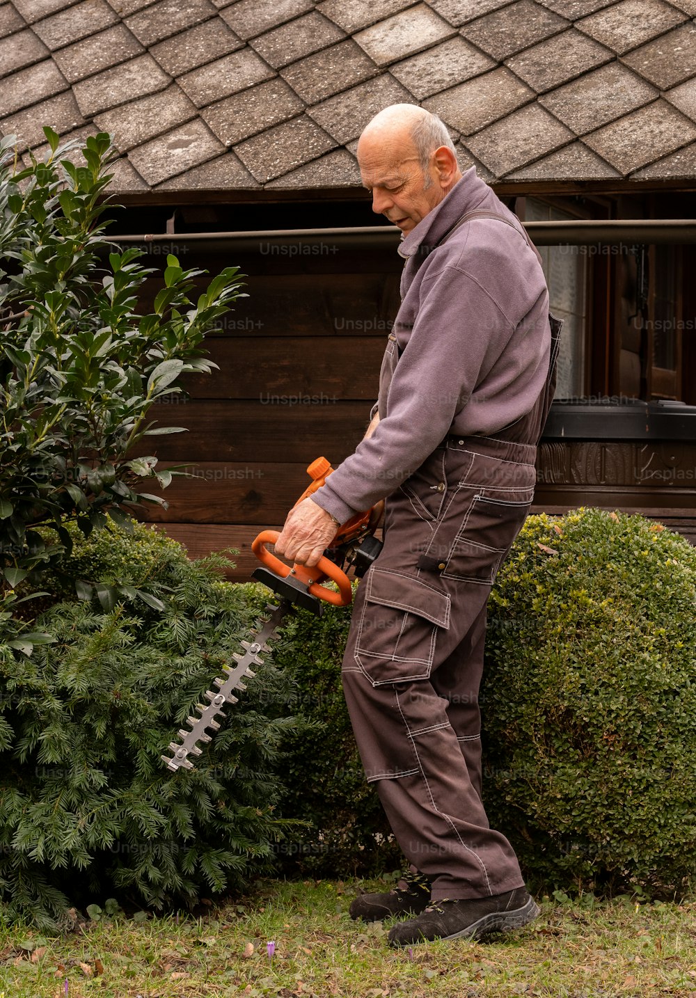 a man is trimming a hedge with a chainsaw