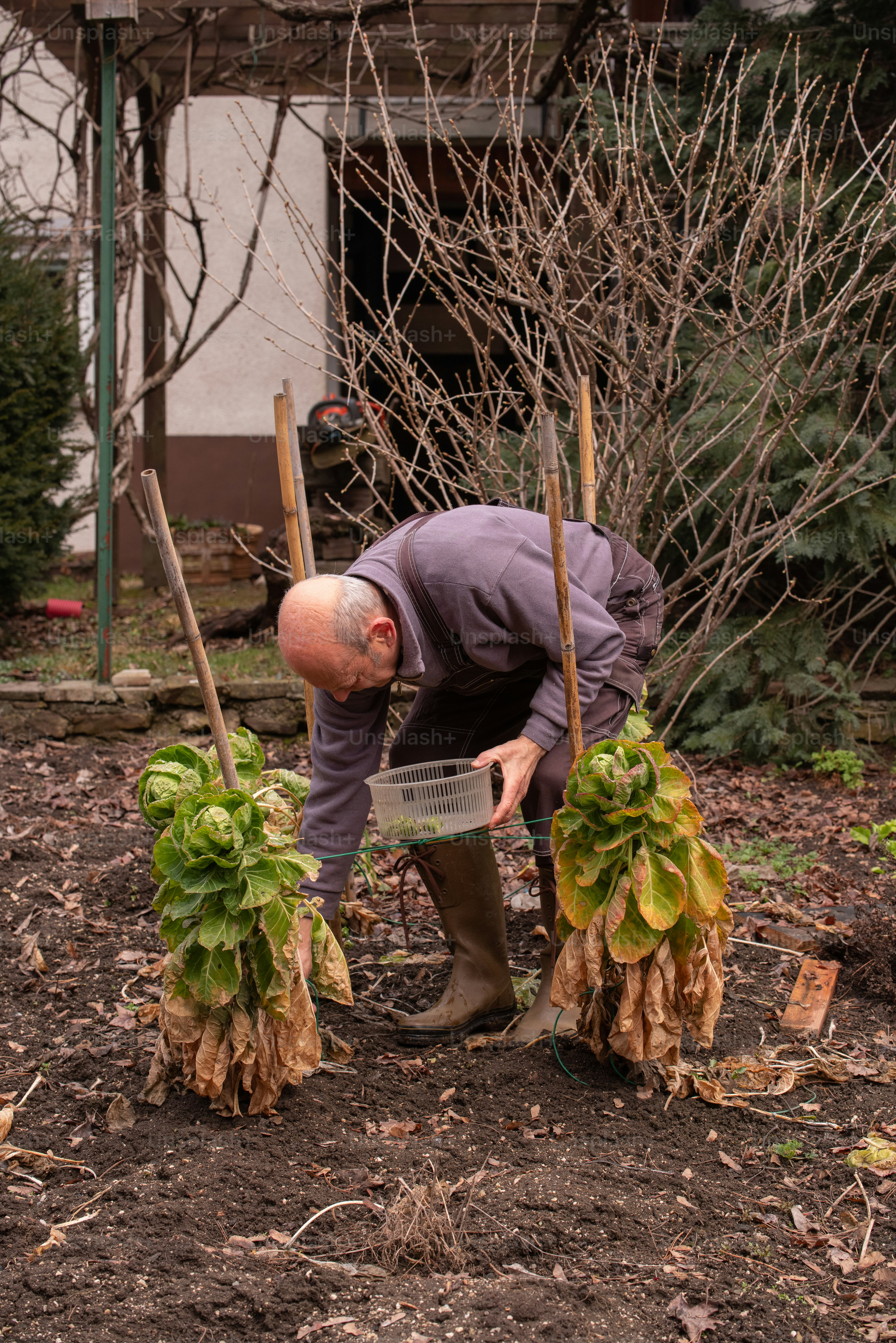 a man is working in the garden with plants