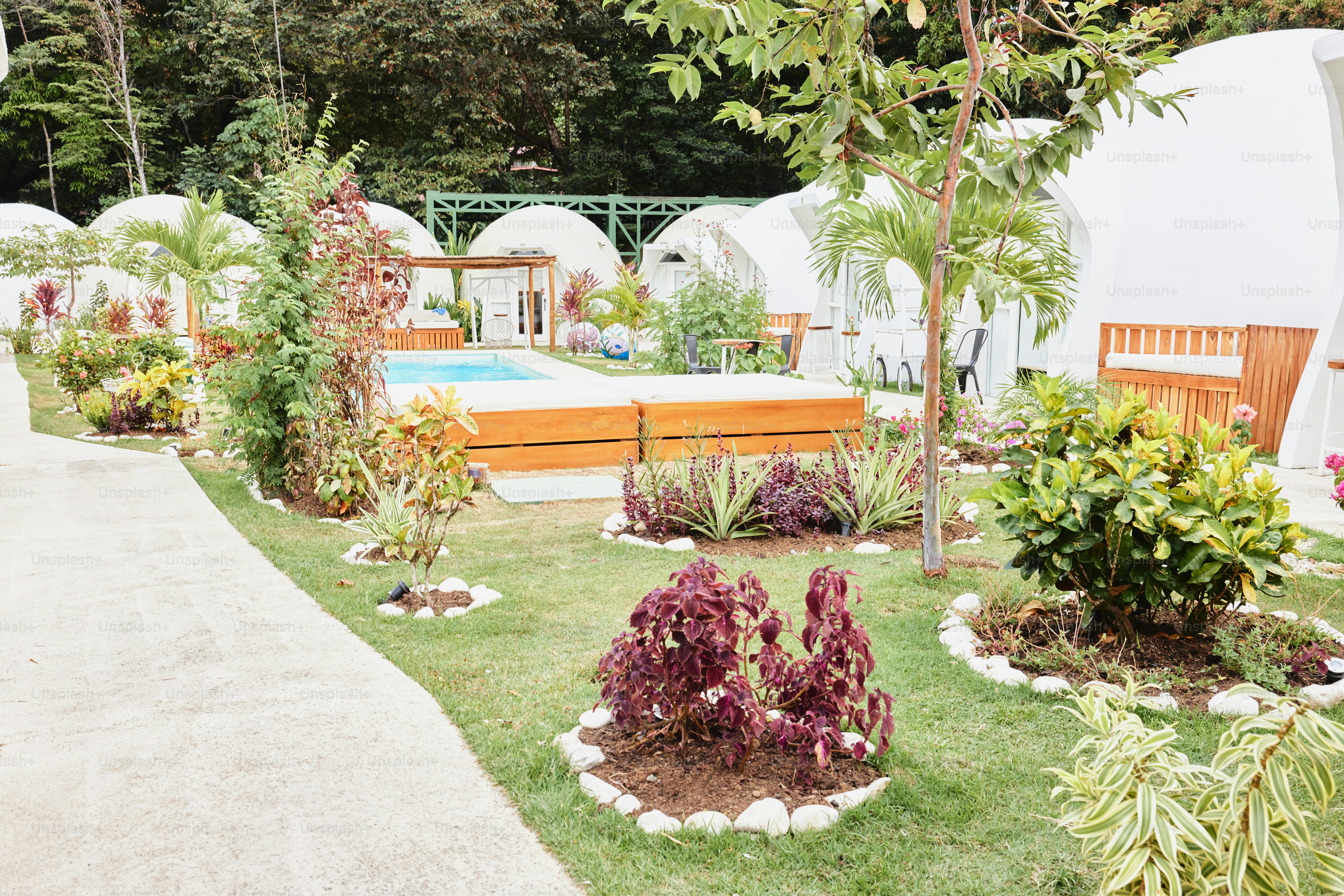 a garden with a pool in the middle of it