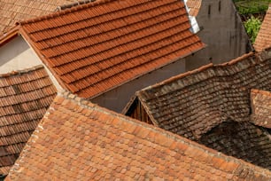 Un pájaro está encaramado en el techo de un edificio