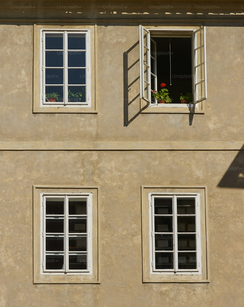 Un edificio con tres ventanas y un gato sentado en la ventana