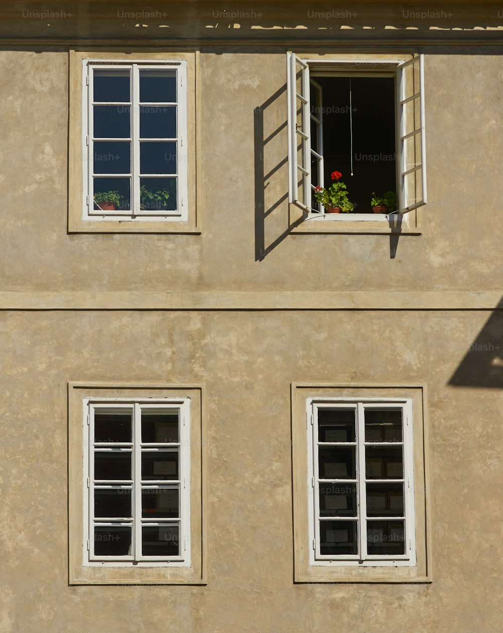 a building with three windows and a cat sitting in the window