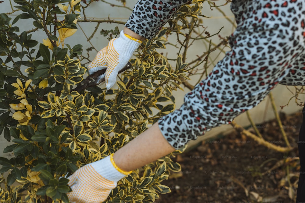 a person in a leopard print outfit and white gloves