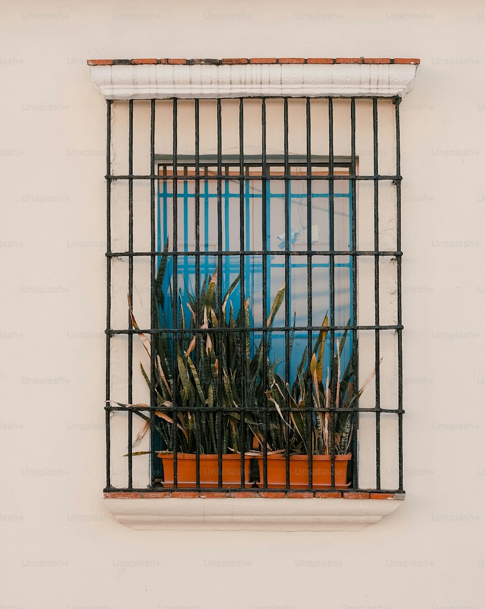 une fenêtre avec des barres et une plante en pot