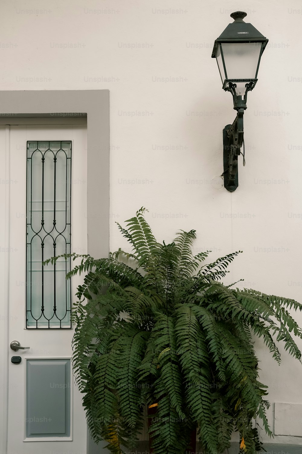 a potted plant sitting in front of a white door