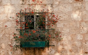 a window with red flowers on a stone wall