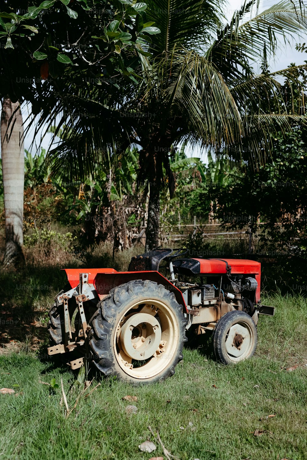 a red tractor parked in a field next to a tree