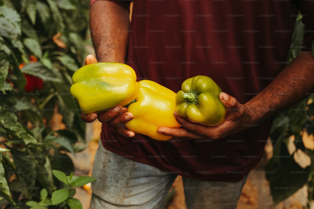 a man holding three peppers in his hands