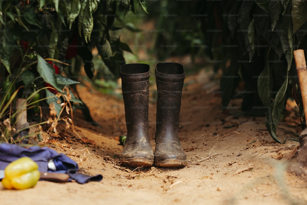 a pair of boots sitting on top of a dirt road