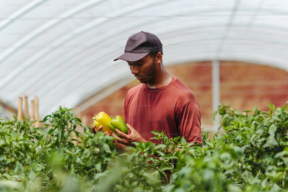 a man standing in a greenhouse holding a green apple
