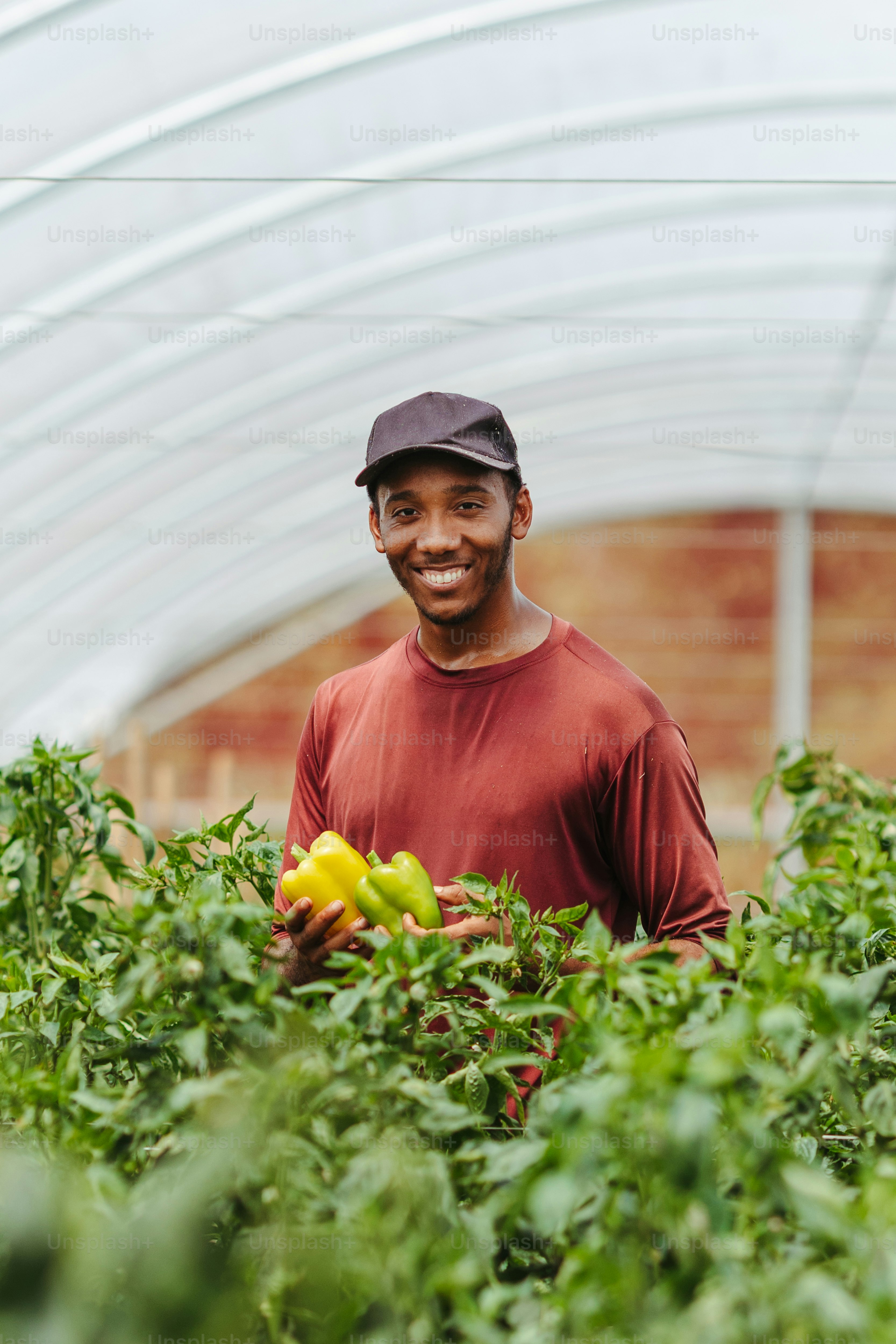 a man standing in a greenhouse holding an apple