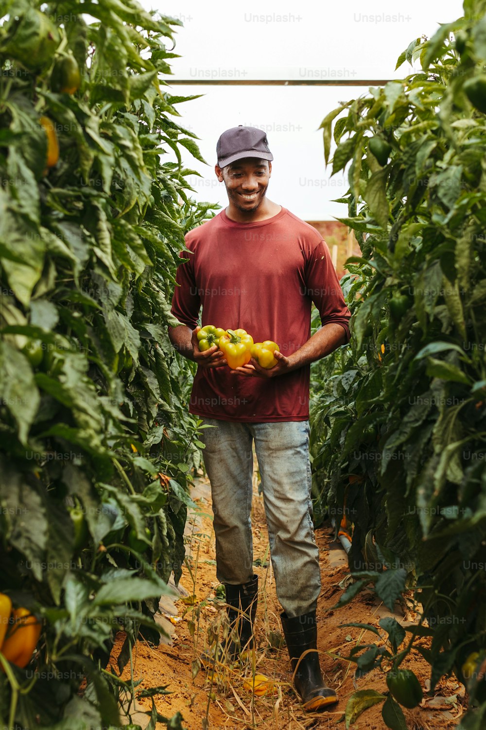 a man holding a bunch of fruit in a field