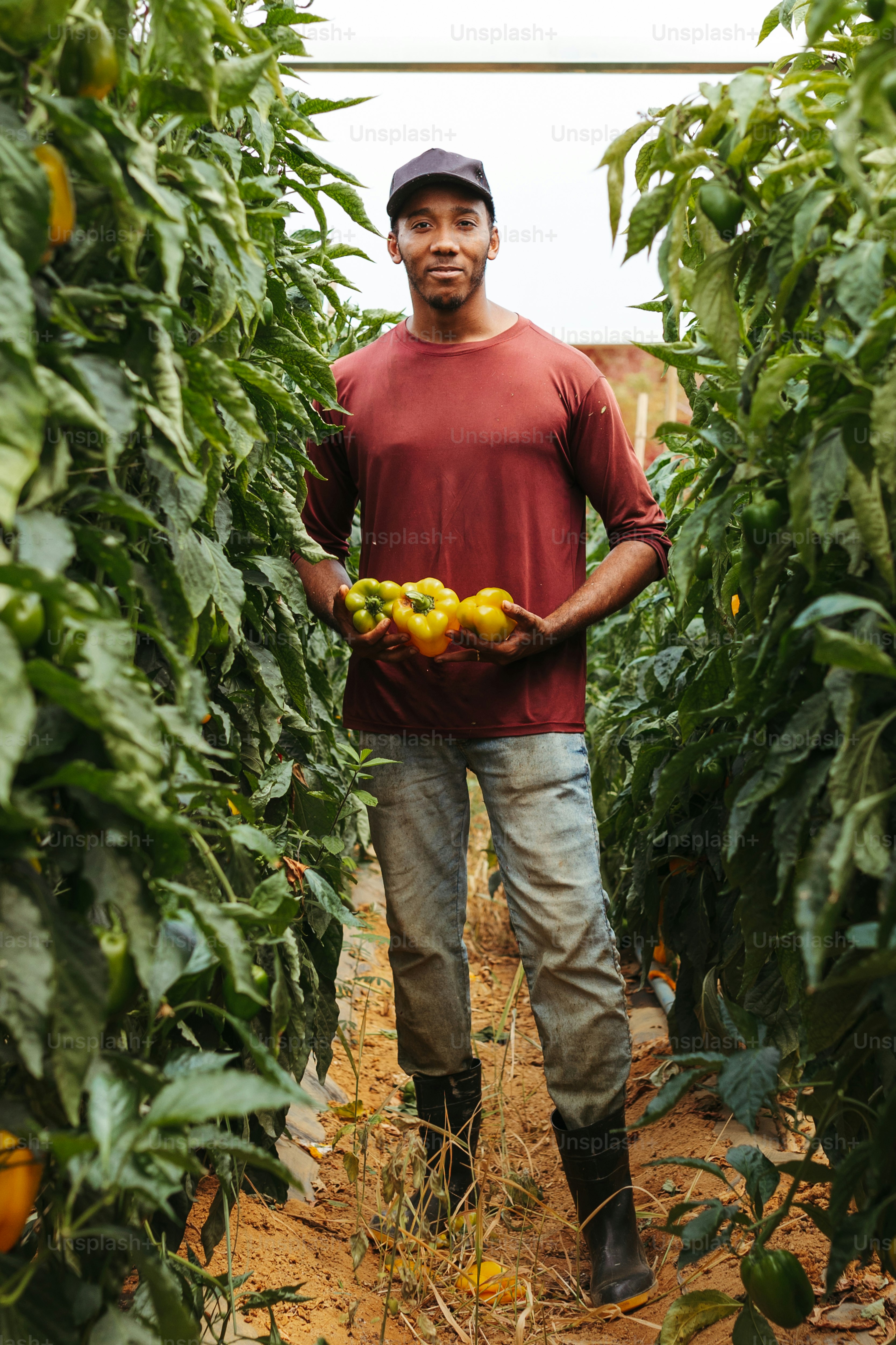 a man holding a bunch of fruit in a greenhouse