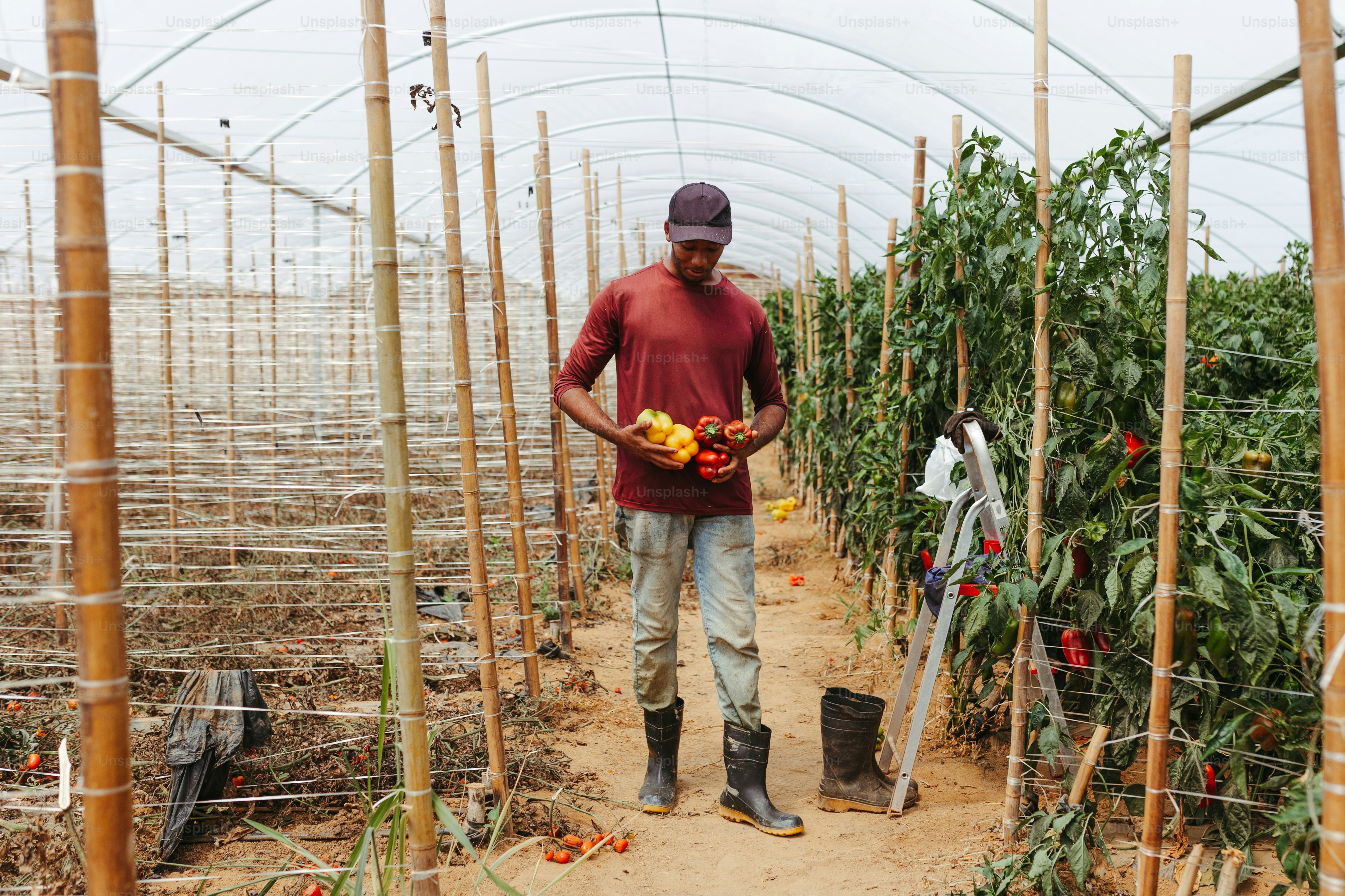 Business Daily Feature