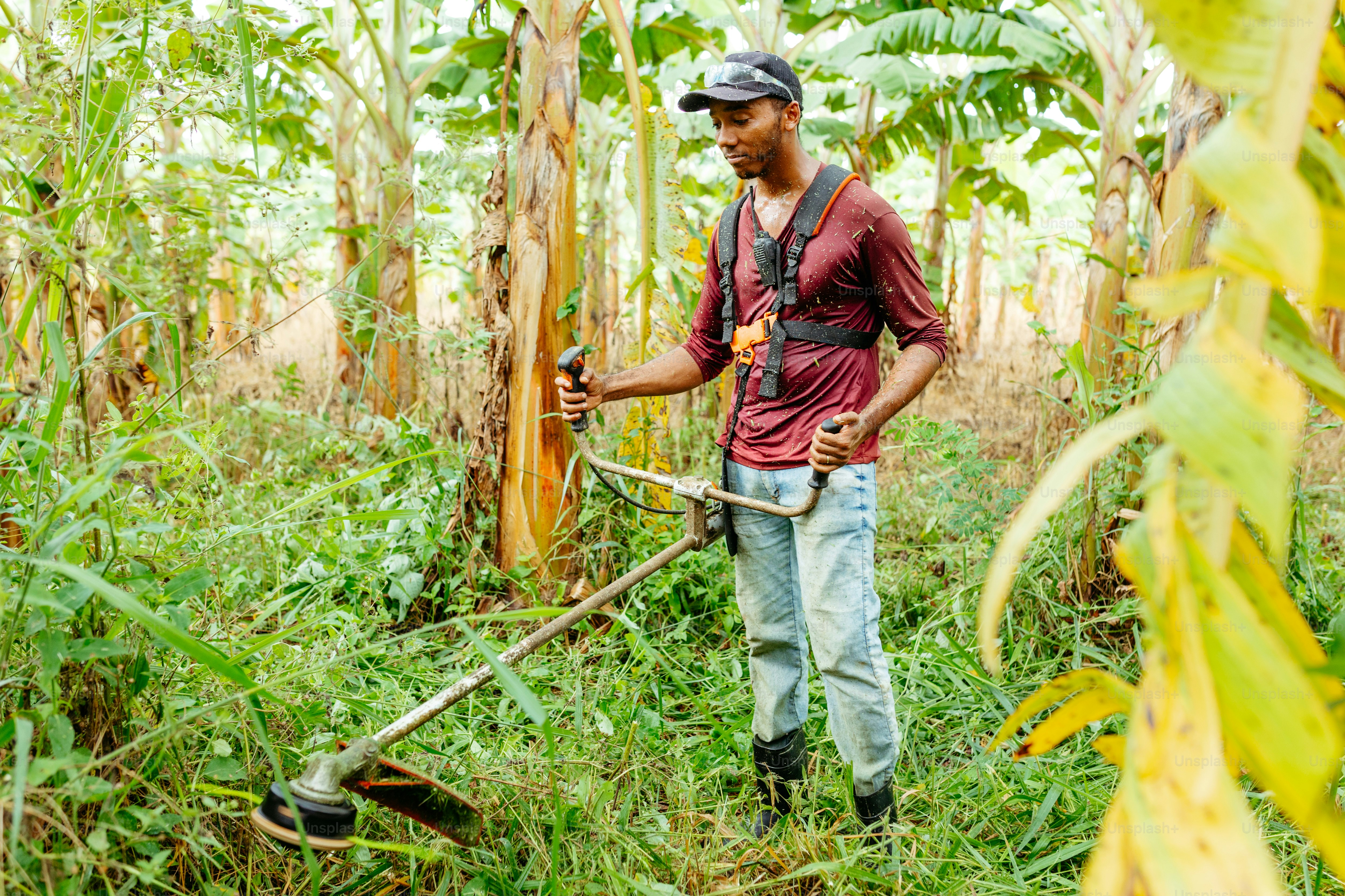 a man standing in the middle of a lush green forest