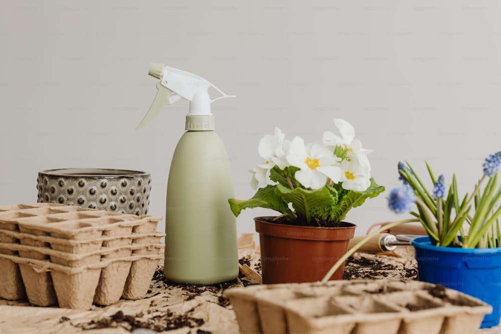 un flacone spray seduto sopra un tavolo accanto ai fiori