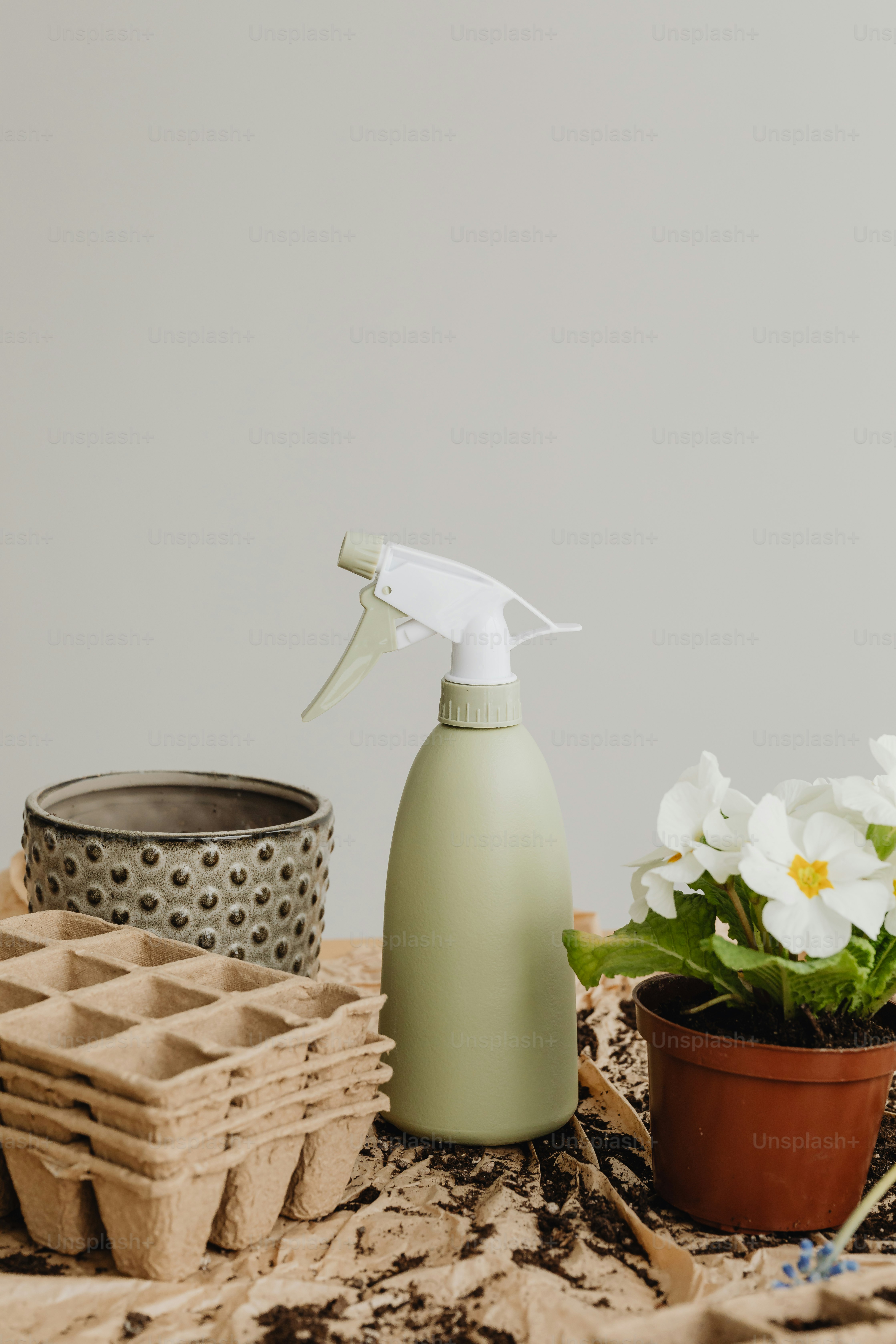 um frasco de spray sentado em cima de uma mesa ao lado de um vaso de planta
