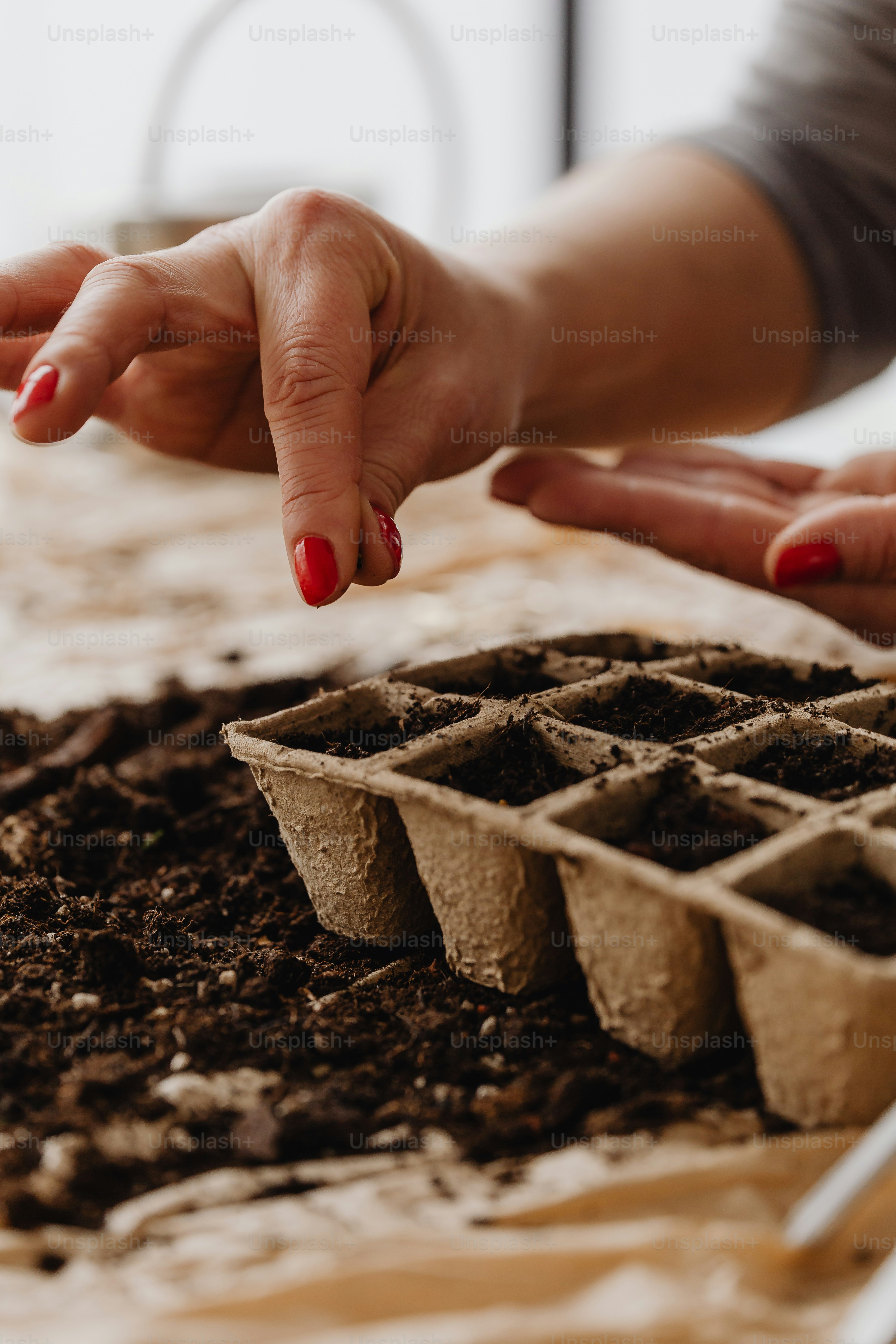 a close up of a person touching a plant in a tray