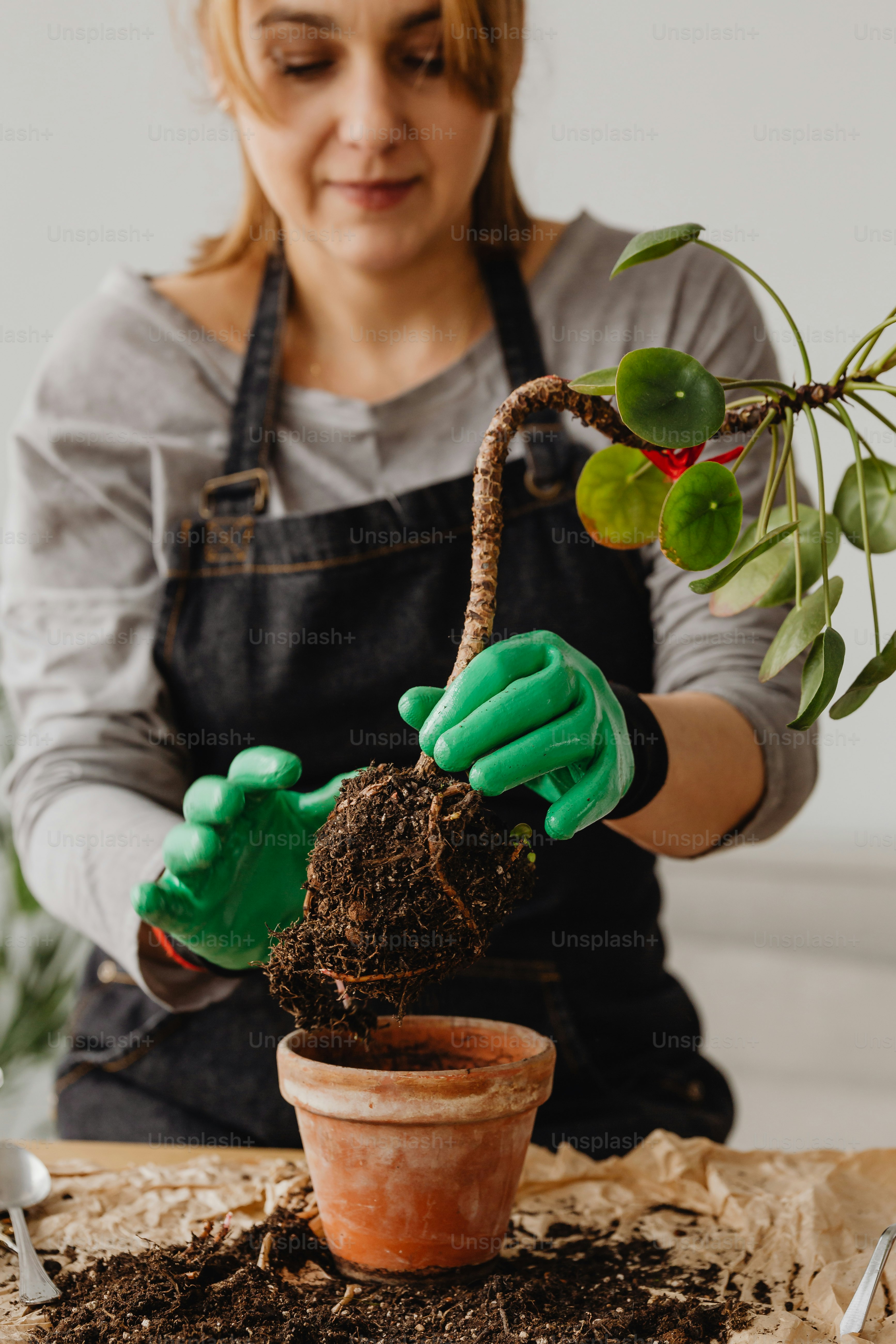 uma mulher em luvas verdes está segurando um vaso de planta