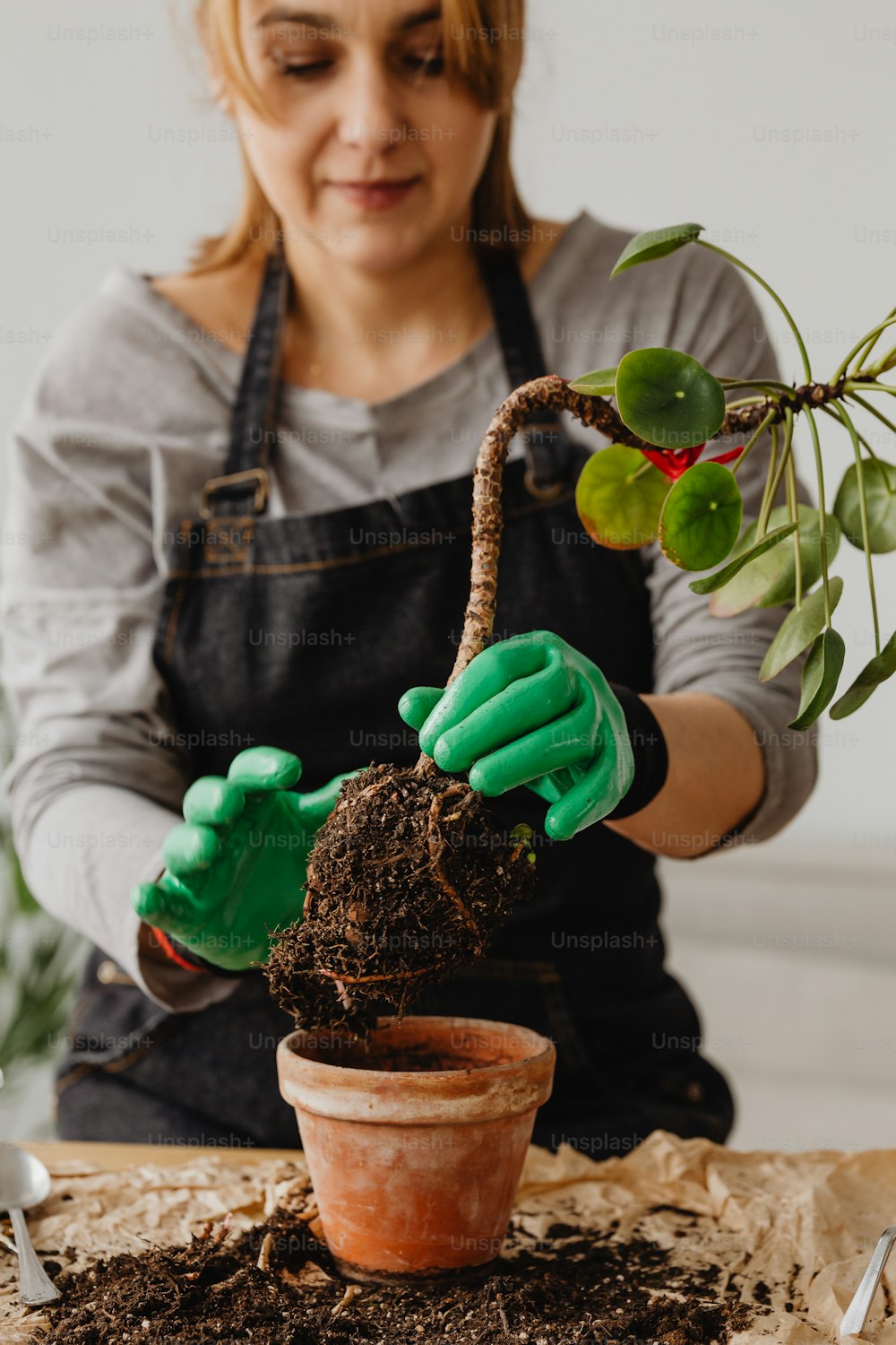 a woman in green gloves is holding a potted plant