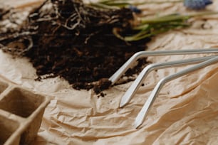 a couple of forks laying on top of a piece of paper