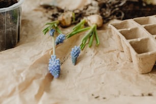 a bunch of blue flowers sitting on top of a table