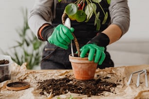a person wearing gloves and gardening gloves is planting a potted plant