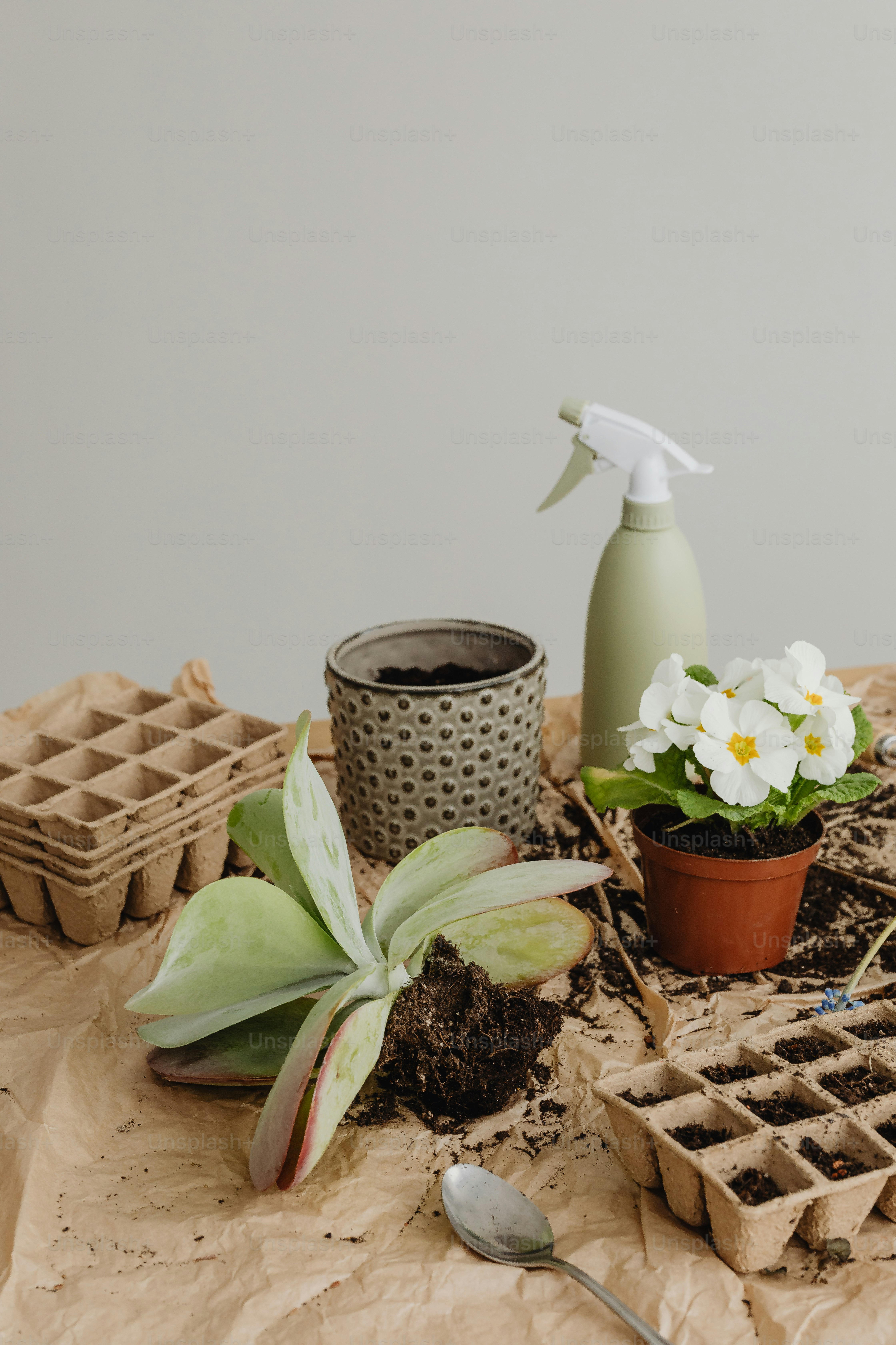a table topped with a potted plant next to a waffle