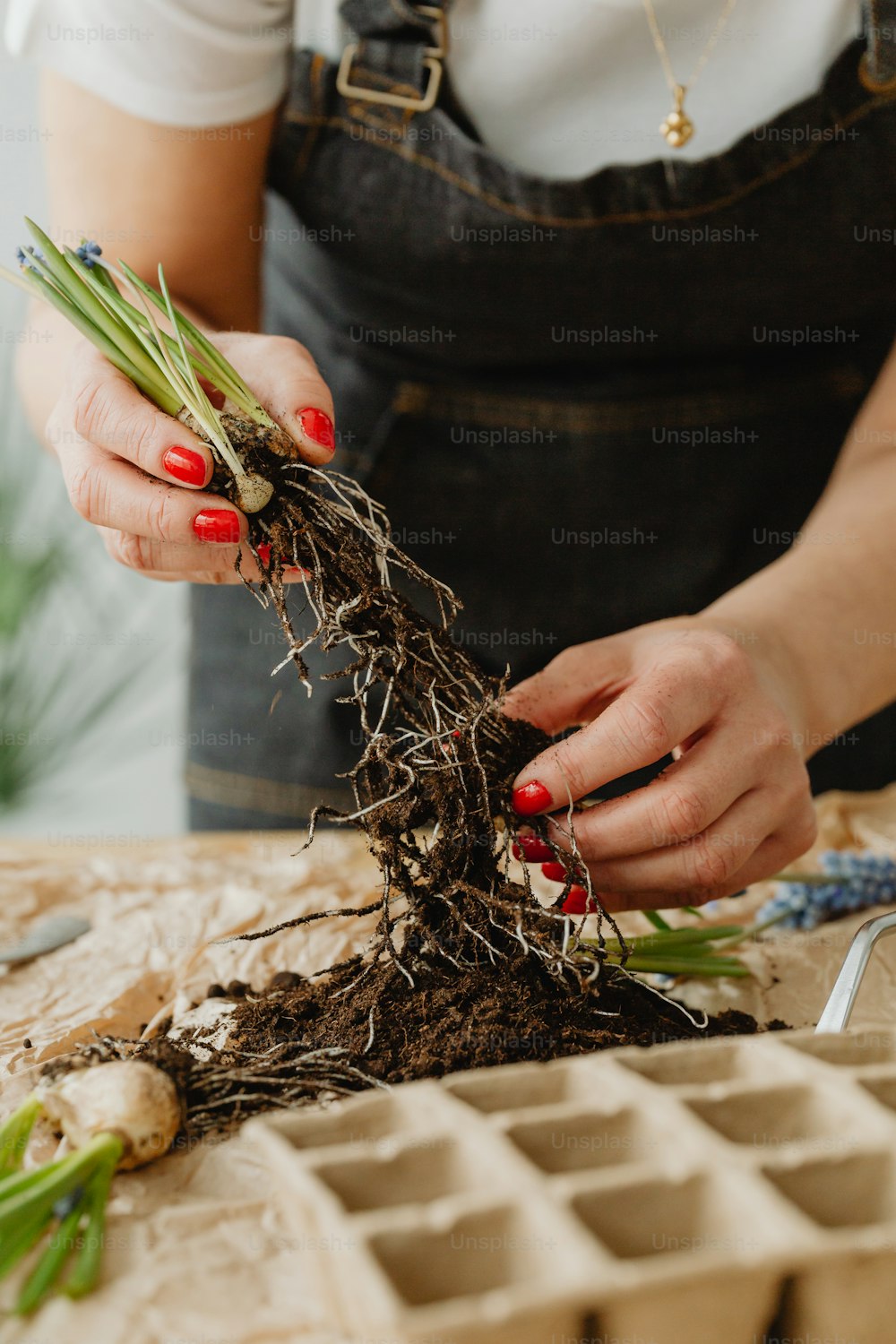 a woman is holding a plant in her hands