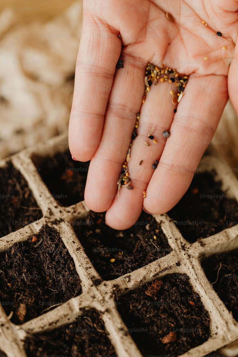 a person's hand reaching for seeds in a tray of dirt