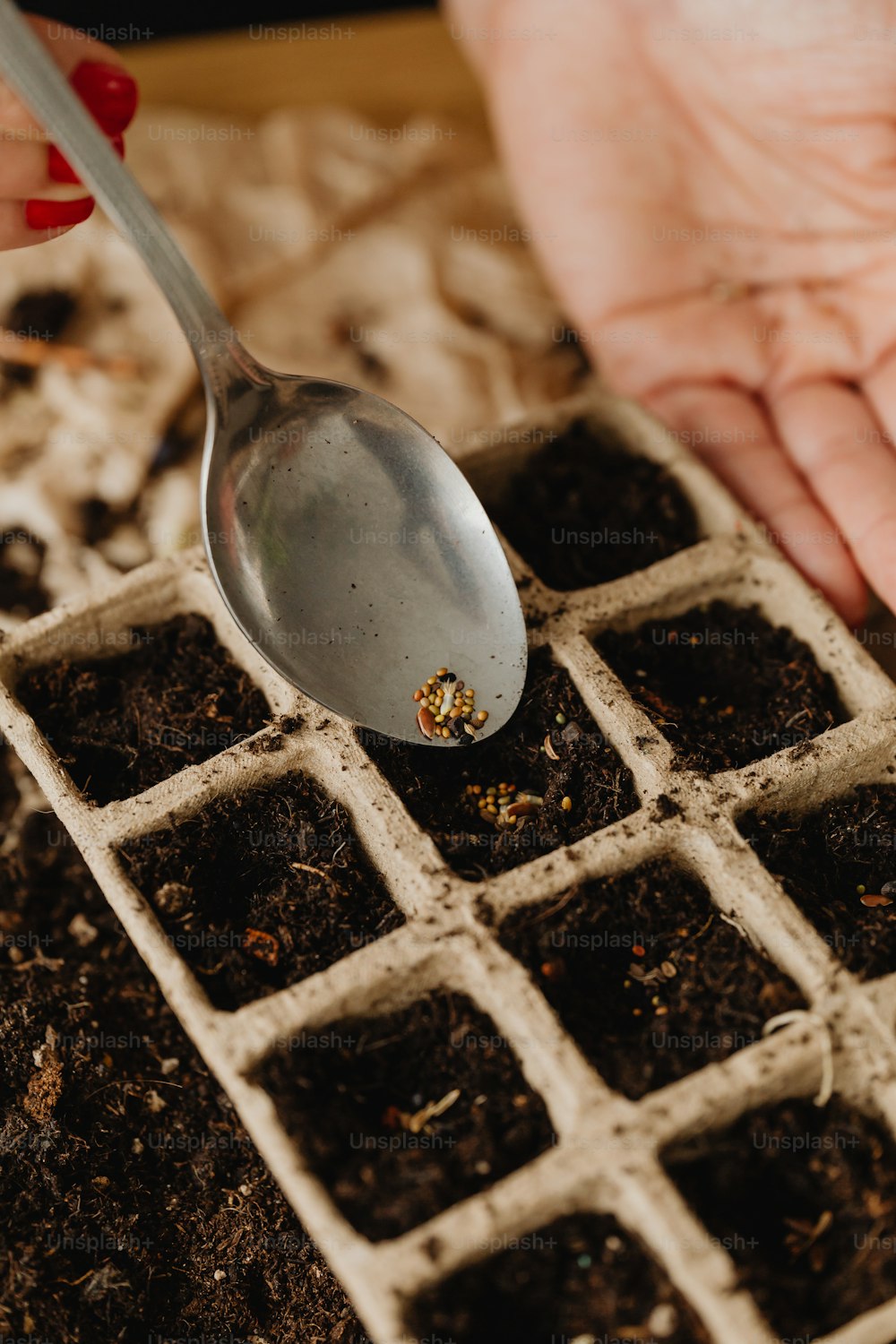 a person spooning seeds out of a tray of dirt