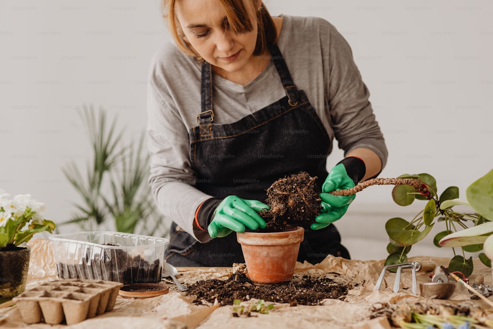 �エプロンと緑の手袋を着た女性が鍋に植物を植える