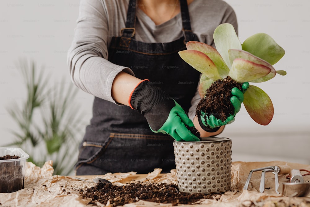 a woman is holding a potted plant with dirt in it