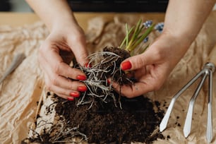 a woman is holding a plant in her hands