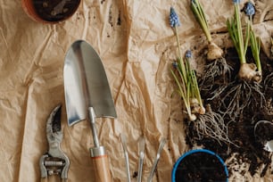 a garden tool sitting on top of a piece of paper