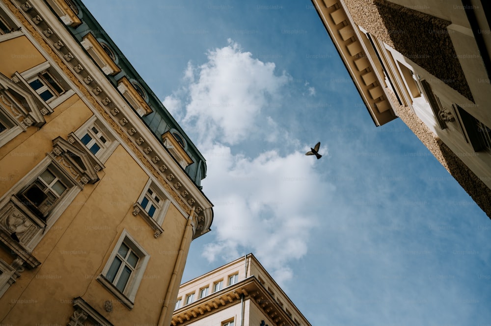 a bird flying in the sky between two buildings