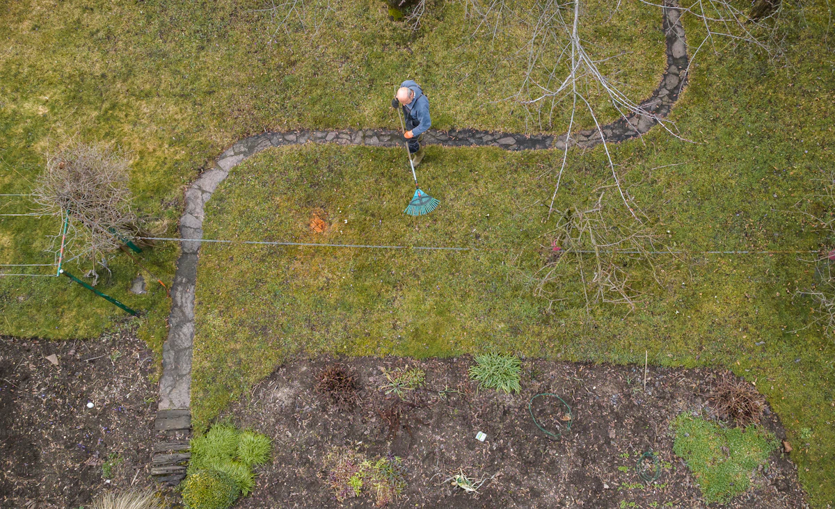 Beautiful green backyard garden lawn