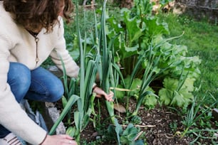 a woman kneeling down in a garden next to a plant