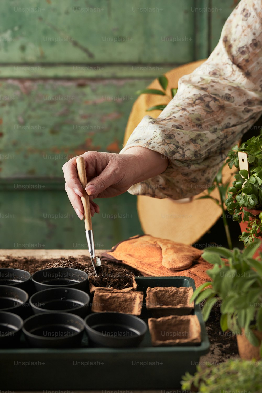 a person holding a knife over a tray of cupcakes