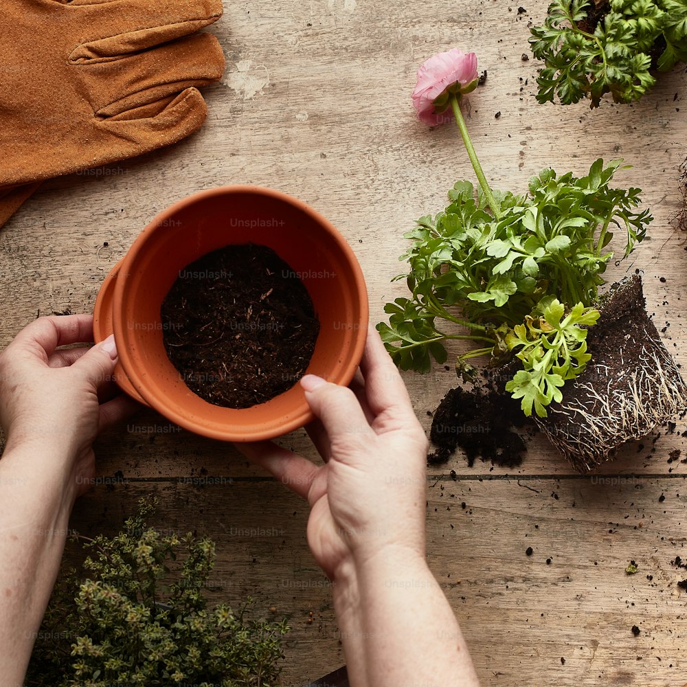 a person holding a bowl with dirt in it