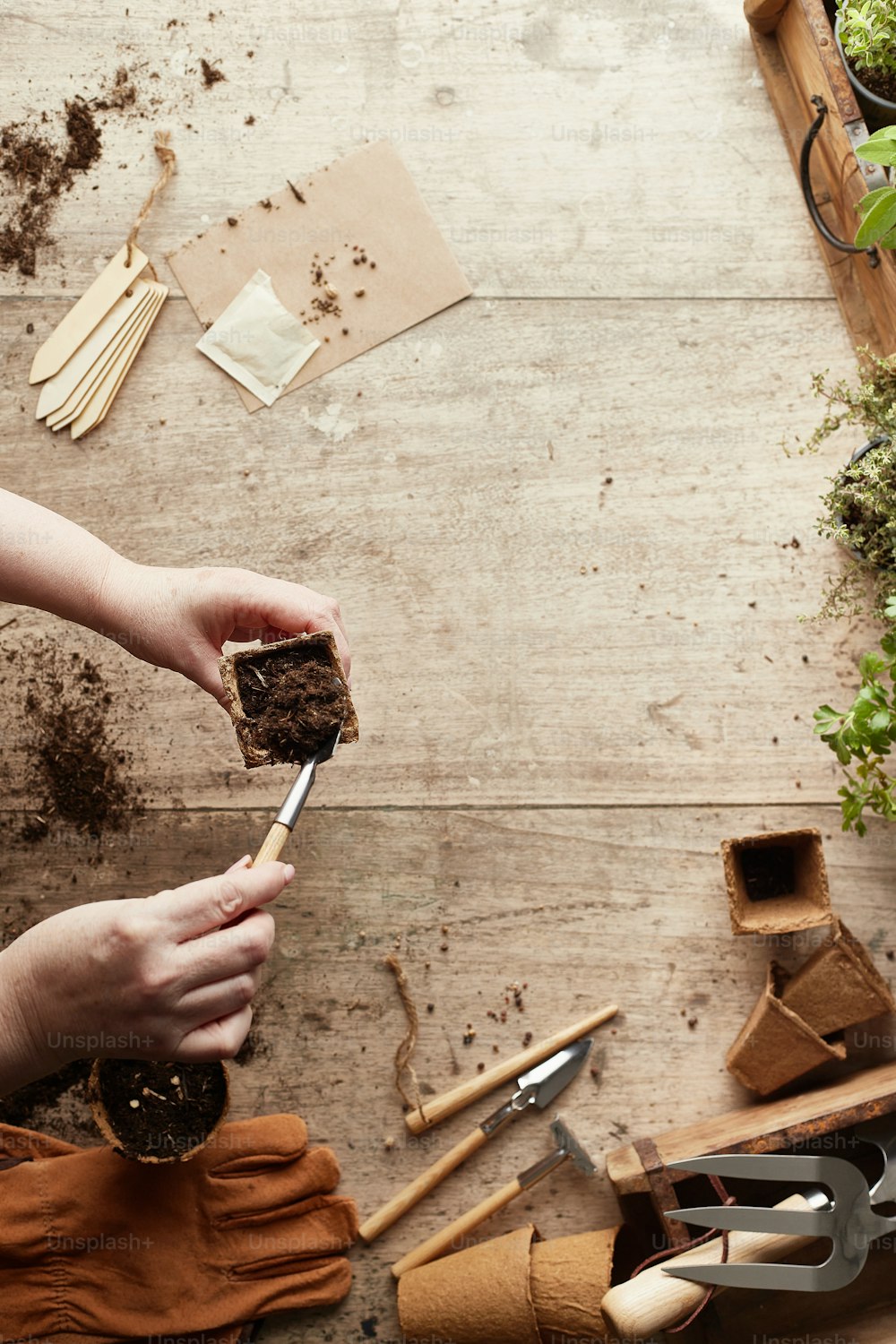 a person holding a knife over a piece of cake