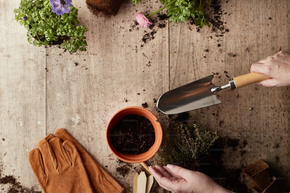 a person holding a gardening tool over a pot of dirt