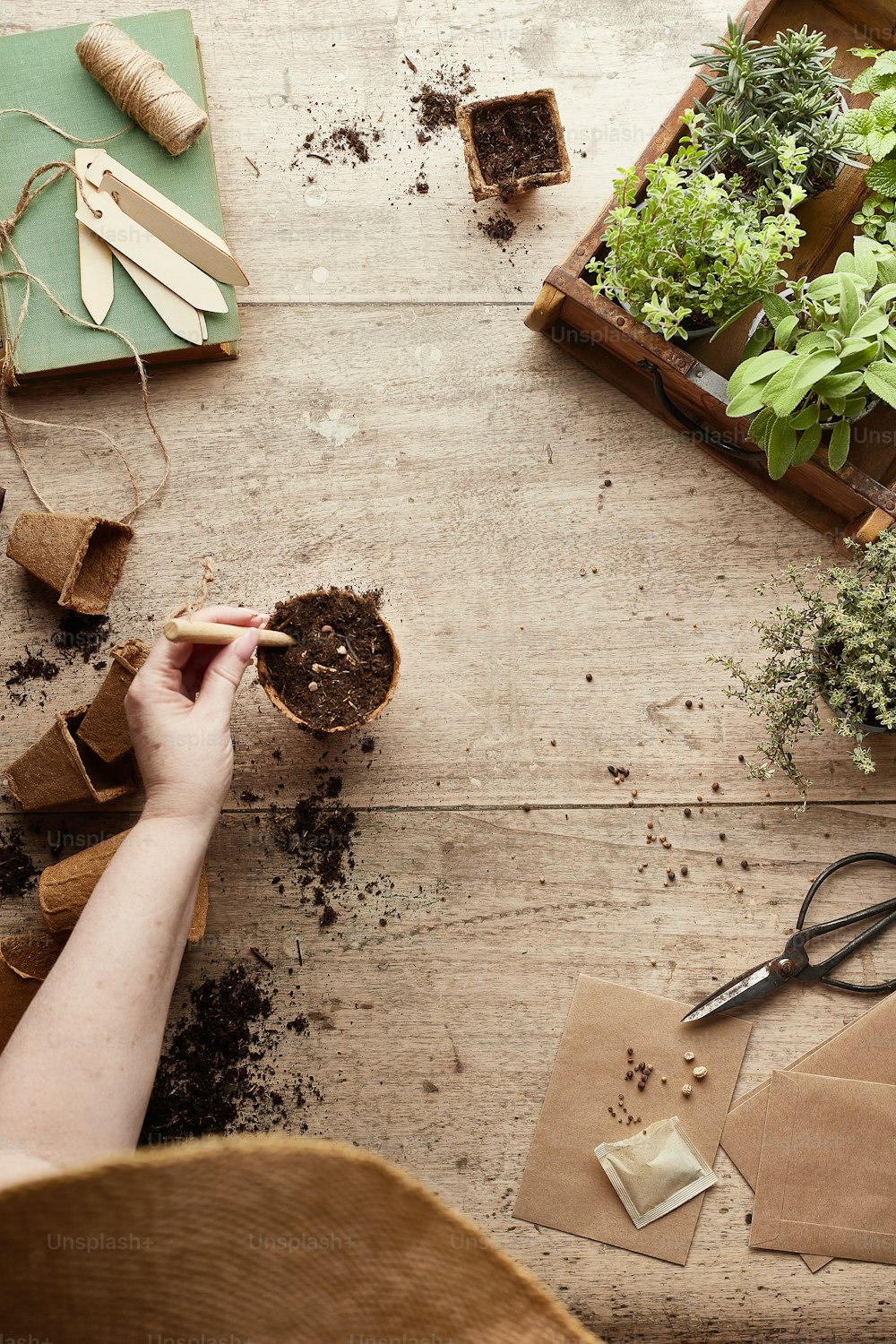 a person digging dirt into a potted plant