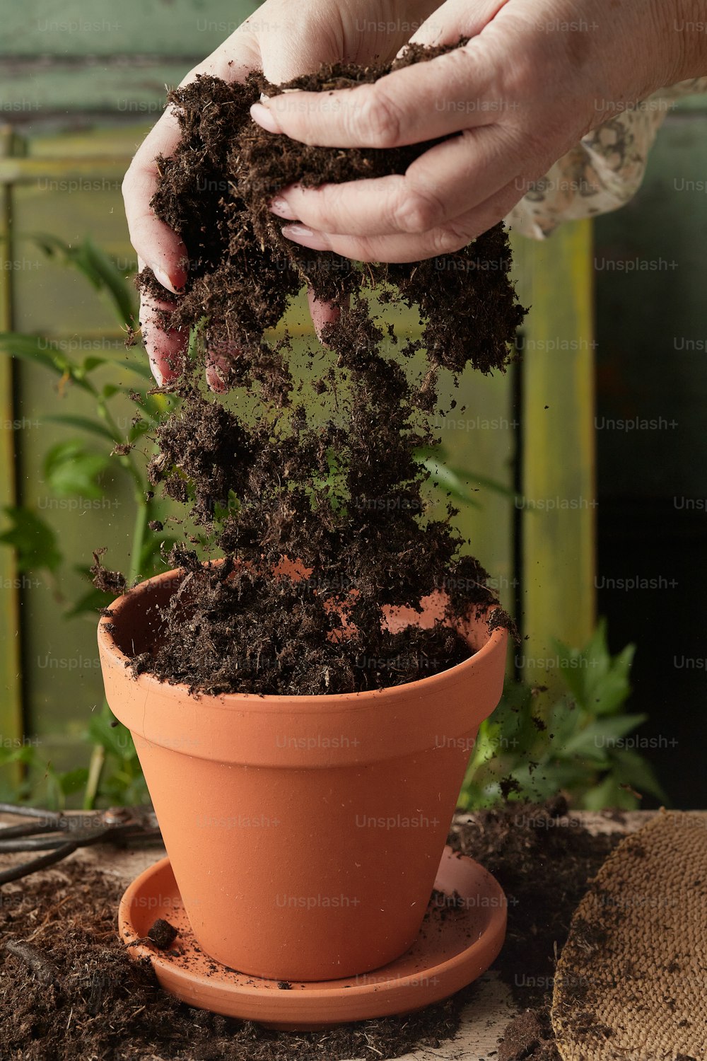 a person is digging dirt into a potted plant