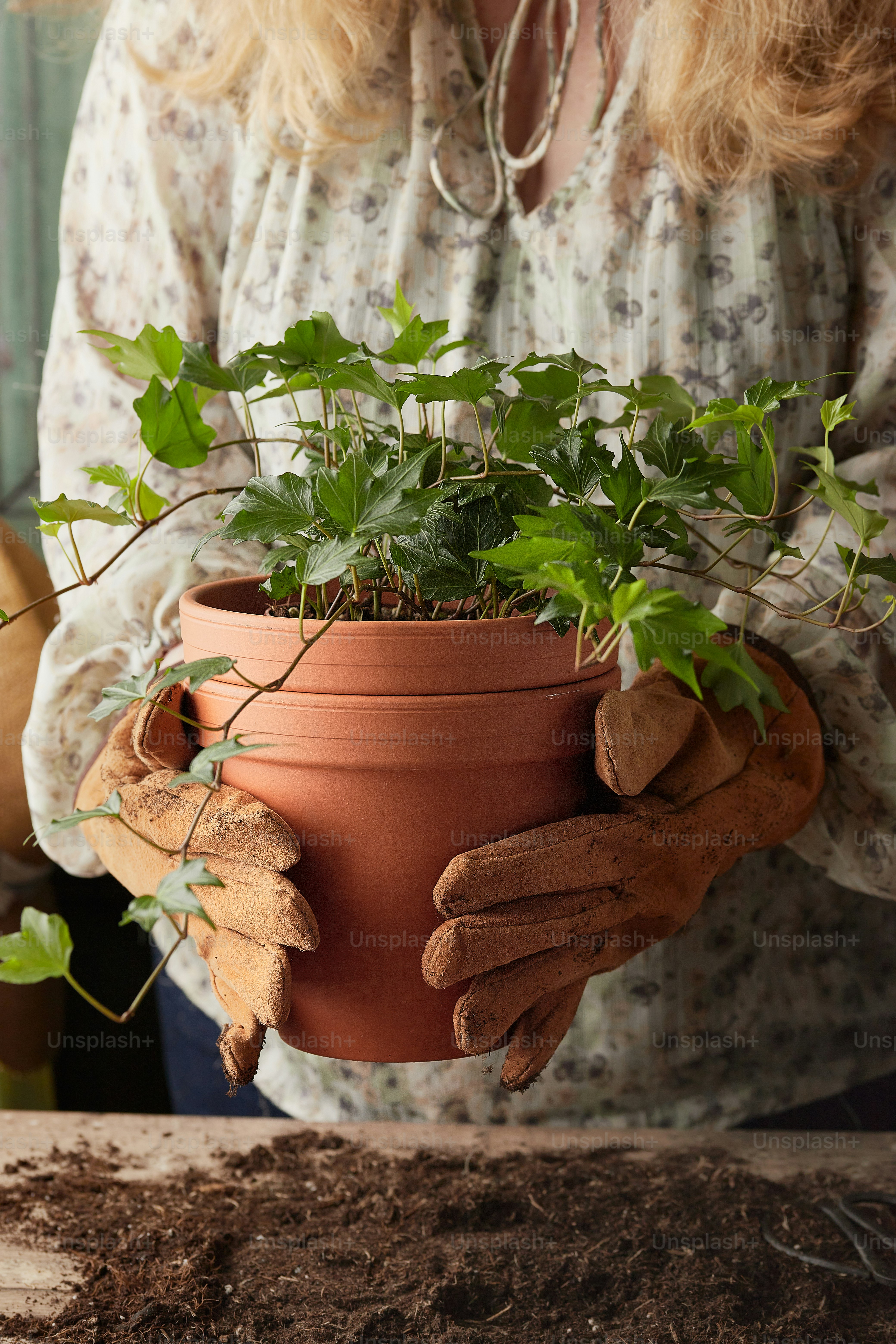 a woman holding a potted plant in her hands